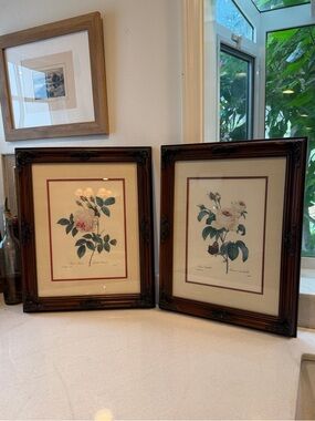 Classic Rose Botanical Wall Art - Set of 2, Brown Frames